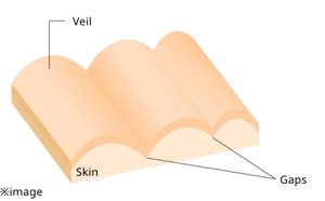 The cause of makeup smudging after reapplication, The oils of foundation and sunscreen combine, destroying makeup coating.ALLIE’s new technology, Encapsulation prevents mixing with oil and prevents smudging even when layered over!