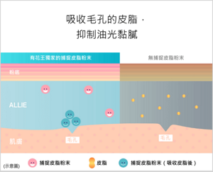 吸收毛孔的皮脂,抑制油光黏膩