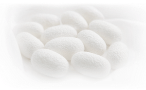 Many oval-shaped, white, raw silk cocoons rest together on white fabric.