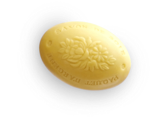 Soap bar made from silk oil with a floral pattern in the center surrounded by text which reads, “SAVON DE SOIE” and “PAQUET D’ARGENT”.