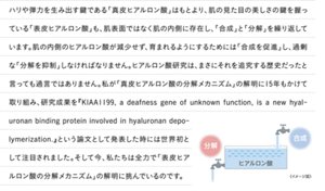 ハリや弾力を生み出す鍵である「真皮ヒアルロン酸」はもとより、肌の見た目の美しさの鍵を握っている「表皮ヒアルロン酸」も、肌表面ではなく肌の内側に存在し、「合成」と「分解」を繰り返しています。肌の内側のヒアルロン酸が減少せず、育まれるようにするためには「合成を促進」し、過剰な「分解を抑制」しなければなりません。ヒアルロン酸研究は、まさにそれを追究する歴史だったと言っても過言ではありません。私が「真皮ヒアルロン酸の分解メカニズム」の解明に15年もかけて取り組み、研究成果を『KIAA1199, a deafness gene of unknown function, is a new hyaluronanbinding protein involved in hyaluronan depolymerization.』という論文として発表した時には世界初として注目されました。そして今、私たちは全力で「表皮ヒアルロン酸の分解メカニズム」の解明に挑んでいるのです。