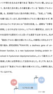 ハリや弾力を生み出す鍵である「真皮ヒアルロン酸」はもとより、肌の見た目の美しさの鍵を握っている「表皮ヒアルロン酸」も、肌表面ではなく肌の内側に存在し、「合成」と「分解」を繰り返しています。肌の内側のヒアルロン酸が減少せず、育まれるようにするためには「合成を促進」し、過剰な「分解を抑制」しなければなりません。ヒアルロン酸研究は、まさにそれを追究する歴史だったと言っても過言ではありません。私が「真皮ヒアルロン酸の分解メカニズム」の解明に15年もかけて取り組み、研究成果を『KIAA1199, a deafness gene of unknown function, is a new hyaluronanbinding protein involved in hyaluronan depolymerization.』という論文として発表した時には世界初として注目されました。そして今、私たちは全力で「表皮ヒアルロン酸の分解メカニズム」の解明に挑んでいるのです。