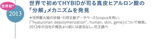 世界初*2013年世界で初めてHYBIDが司る真皮ヒアルロン酸の「分解」メカニズムを発見