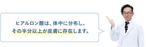 ヒアルロン酸は、体中に分布し、その半分以上が皮膚に存在します。