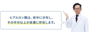 ヒアルロン酸は、体中に分布し、その半分以上が皮膚に存在します。