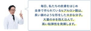 毎日、私たちの皮膚をはじめ全身で作られているヒアルロン酸は、長い鎖のような形をした大きな分子。大量の水を抱え込んで、高い粘弾性を発揮します。