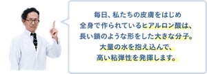毎日、私たちの皮膚をはじめ全身で作られているヒアルロン酸は、長い鎖のような形をした大きな分子。大量の水を抱え込んで、高い粘弾性を発揮します。