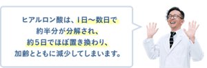 ヒアルロン酸は、1日~数日で約半分が分解され、約5日でほぼ置き換わり、加齢とともに減少してしまいます。