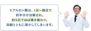 ヒアルロン酸は、1日~数日で約半分が分解され、約5日でほぼ置き換わり、加齢とともに減少してしまいます。