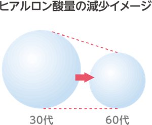 ヒアルロン酸量の減少イメージ