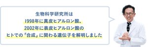生物科学研究所は1998年に真皮ヒアルロン酸、2002年に表皮ヒアルロン酸のヒトでの「合成」に関わる遺伝子を解明しました