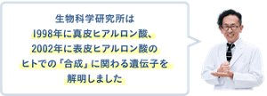 生物科学研究所は1998年に真皮ヒアルロン酸、2002年に表皮ヒアルロン酸のヒトでの「合成」に関わる遺伝子を解明しました