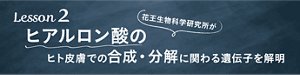Lesson 2 花王生物科学研究所がヒアルロン酸のヒト皮膚での合成・分解に関わる遺伝子を解明