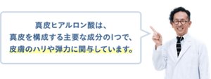 真皮ヒアルロン酸は、真皮を構成する主要な成分の1つで、皮膚のハリや弾力に関与しています。