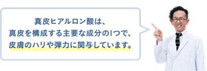 真皮ヒアルロン酸は、真皮を構成する主要な成分の1つで、皮膚のハリや弾力に関与しています。
