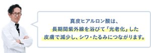 真皮ヒアルロン酸は、長期間紫外線を浴びて「光老化」した皮膚で減少し、シワ・たるみにつながります。