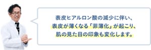 表皮ヒアルロン酸の減少に伴い、表皮が薄くなる「菲薄化」が起こり、肌の見た目の印象も変化します。
