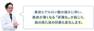 表皮ヒアルロン酸の減少に伴い、表皮が薄くなる「菲薄化」が起こり、肌の見た目の印象も変化します。
