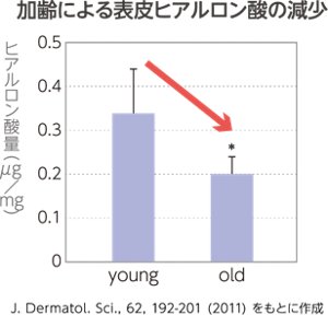 加齢による表皮ヒアルロン酸の減少