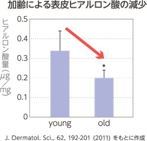 加齢による表皮ヒアルロン酸の減少