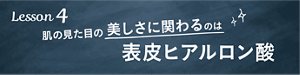 Lesson 4 肌の見た目の美しさに関わるのは表皮ヒアルロン酸