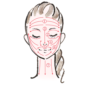 お顔へのなじませ方は1、両手の指で額の中心から外側に向かって何度かなじませます。2、両目の内側からまゆに沿って外側に向かってなじませます。次に両目の内側から涙袋に沿って外側に向かってなじませます。3、眉間から鼻先を上から下になじませます。4、小鼻の脇を上下になじませます。5、鼻下から口角に向かってなじませます。次に顎から口角に向かってなじませます。6、口角からこめかみに向かって何度かなじませます。7、顎と首の間から下に向かってなじませます。