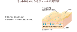 【もっちりなめらかヴェールの美容液】 美容液が水分を抱え込むことで弾性の膜をつくり、ハリを感じる肌に導きます。