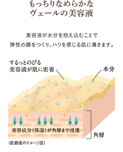 【もっちりなめらかヴェールの美容液】 美容液が水分を抱え込むことで弾性の膜をつくり、ハリを感じる肌に導きます。
