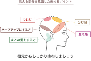 見える部分を意識した染めるポイント