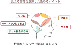 見える部分を意識した染めるポイント