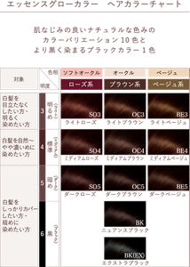 エッセンスグローカラー ヘアカラーチャート