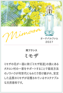 Mimosa オードパルファム 2027 南フランス ミモザ ミモザの花が一面に咲く「ミモザ街道」の奥にあるタヌロン村の一家をサポートすることで栽培方法のノウハウが何世代にもわたり受け継がれ、安定した品質のミモザが収穫されているサステナブルな天然香料です。