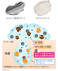 モロッコ溶岩クレイ ホワイトクレイ *イメージ図 角層 古い角質 毛穴に詰まった皮脂 Wクレイ※が毛穴やキメに詰まった皮膚汚れを吸着 濃密泡が毛穴に密着し洗いあげる ※モロッコ溶岩クレイ、ホワイトクレイ(カオリン)<イメージ>