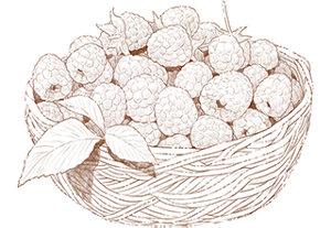 index_story_flower_img04