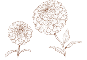 index_story_flower_img05