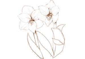 index_story_flower_img06_pc