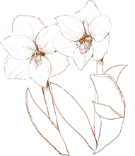 index_story_flower_img06_sp