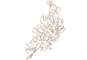 index_story_flower_img07_pc