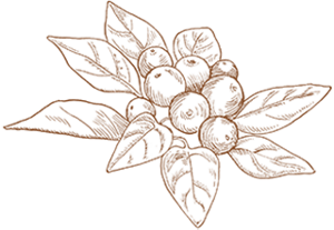 index_story_flower_img11