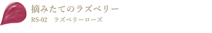 摘みたてのラズベリー RS-02 ラズベリーローズ