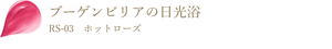 ブーゲンビリアの日光浴 RS-03 ホットローズ