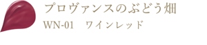 プロヴァンスのぶどう畑 WN-01 ワインレッド
