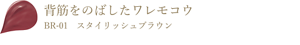背筋をのばしたワレモコウ BR-01 スタイリッシュブラウン