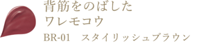 背筋をのばしたワレモコウ BR-01 スタイリッシュブラウン
