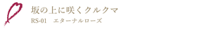 坂の上に咲くクルクマ RS-01 エターナルローズ