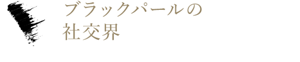 ブラックパールの社交界 マスカラ ブラック