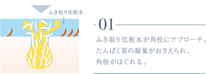 01 ふき取り化粧水が角栓にアプローチ。たんぱく質の凝集がおさえられ、角栓がほぐれる。
