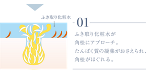 01 ふき取り化粧水が角栓にアプローチ。たんぱく質の凝集がおさえられ、角栓がほぐれる。