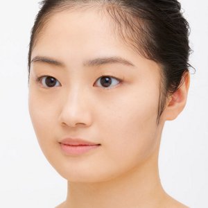 img_sof_model-2