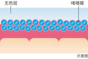 img-cn-zuhan_lip-lasting-coat_03